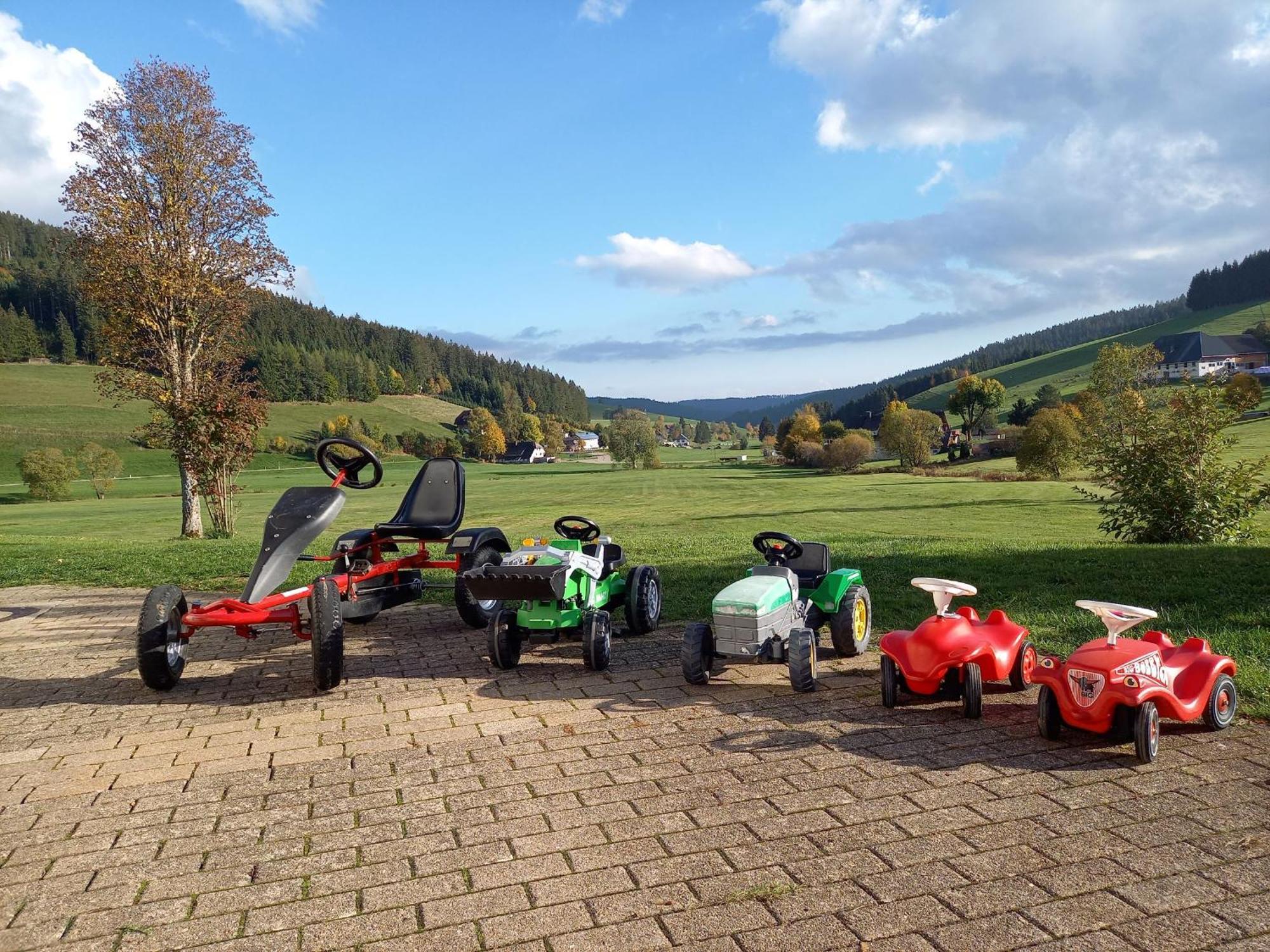 Ferienhaus Kaltenbach Titisee-Neustadt Zewnętrze zdjęcie