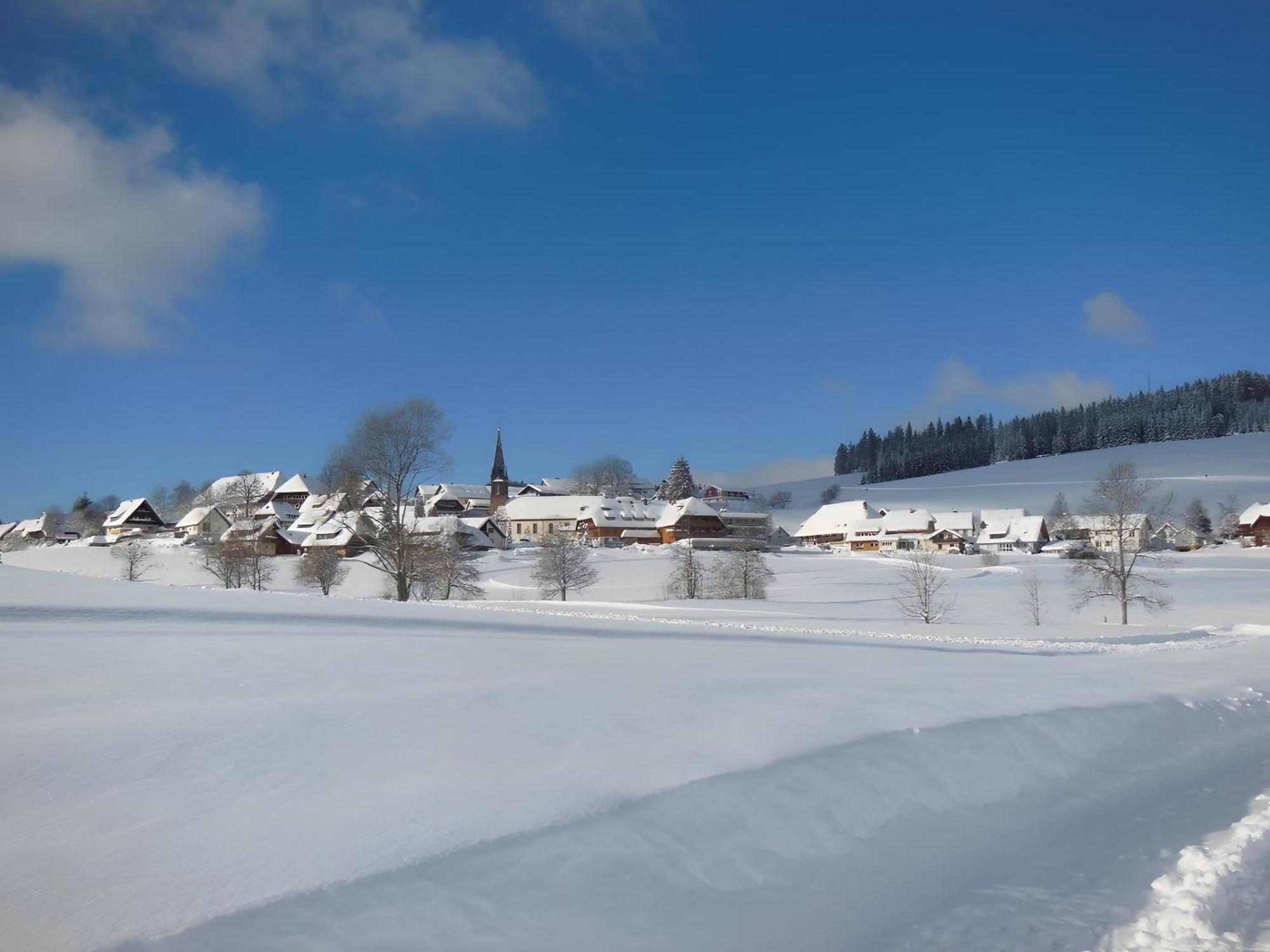 Ferienhaus Kaltenbach Titisee-Neustadt Zewnętrze zdjęcie