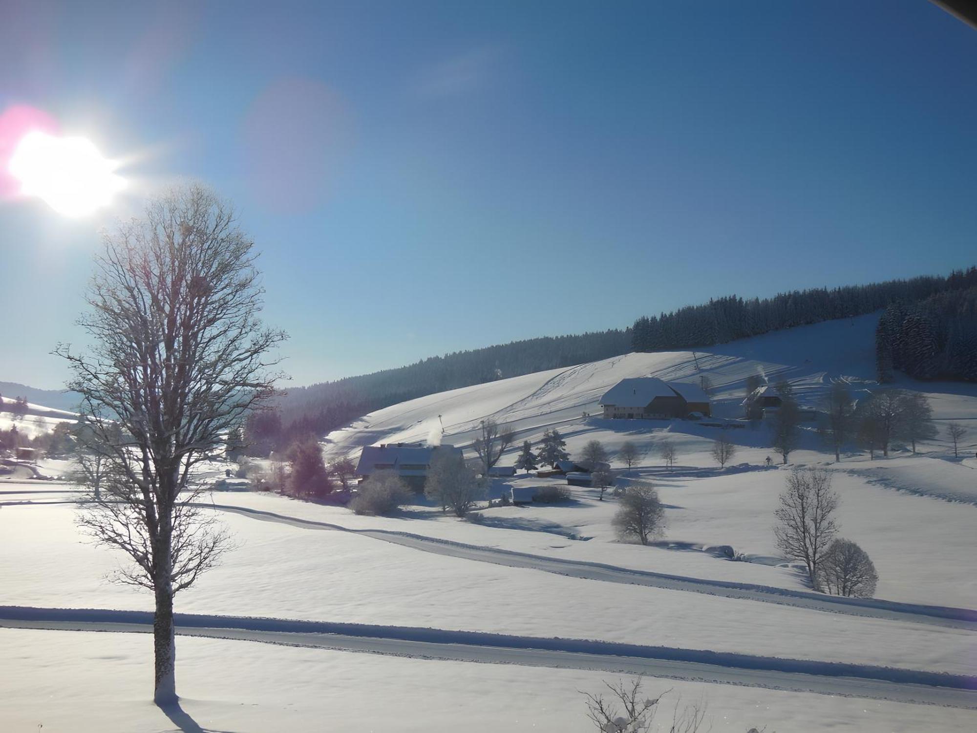 Ferienhaus Kaltenbach Titisee-Neustadt Zewnętrze zdjęcie