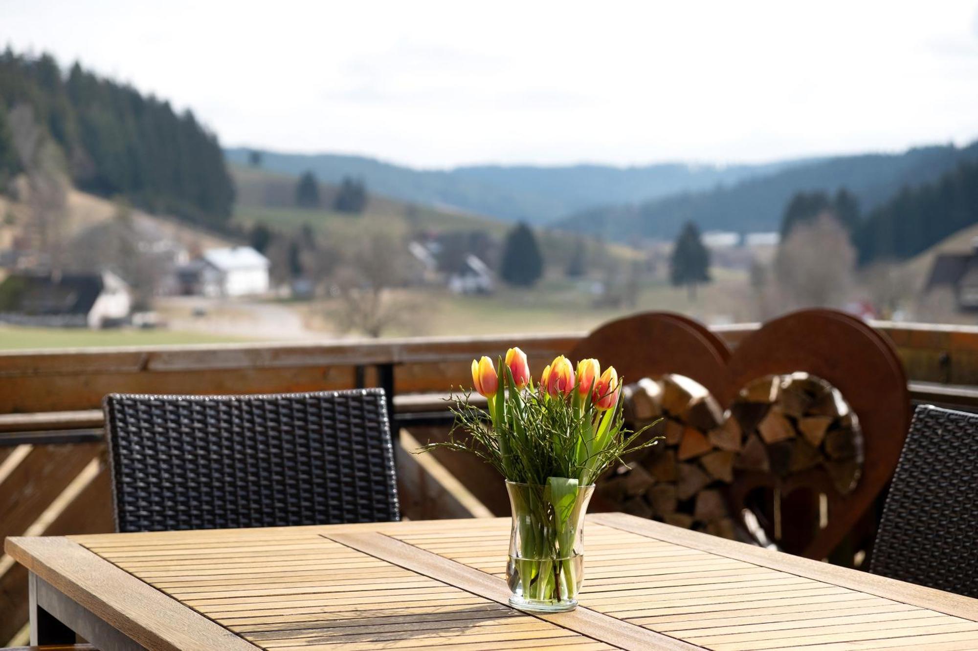 Ferienhaus Kaltenbach Titisee-Neustadt Zewnętrze zdjęcie