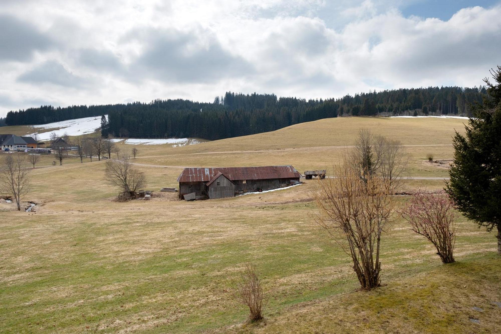 Ferienhaus Kaltenbach Titisee-Neustadt Zewnętrze zdjęcie