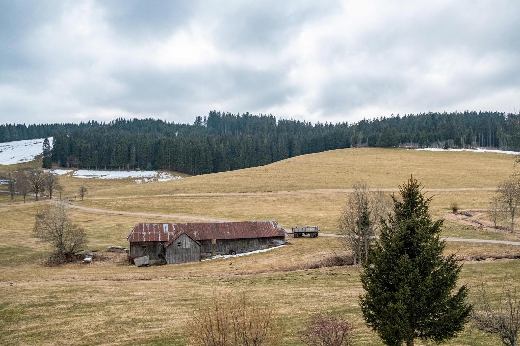 Ferienhaus Kaltenbach Titisee-Neustadt Zewnętrze zdjęcie
