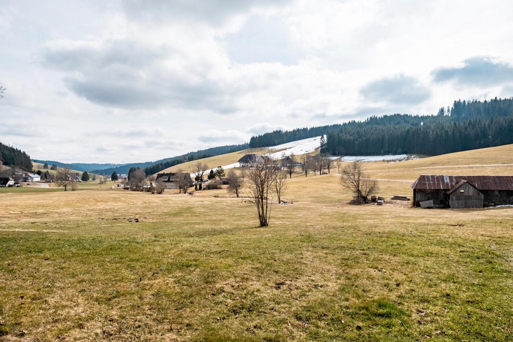 Ferienhaus Kaltenbach Titisee-Neustadt Zewnętrze zdjęcie